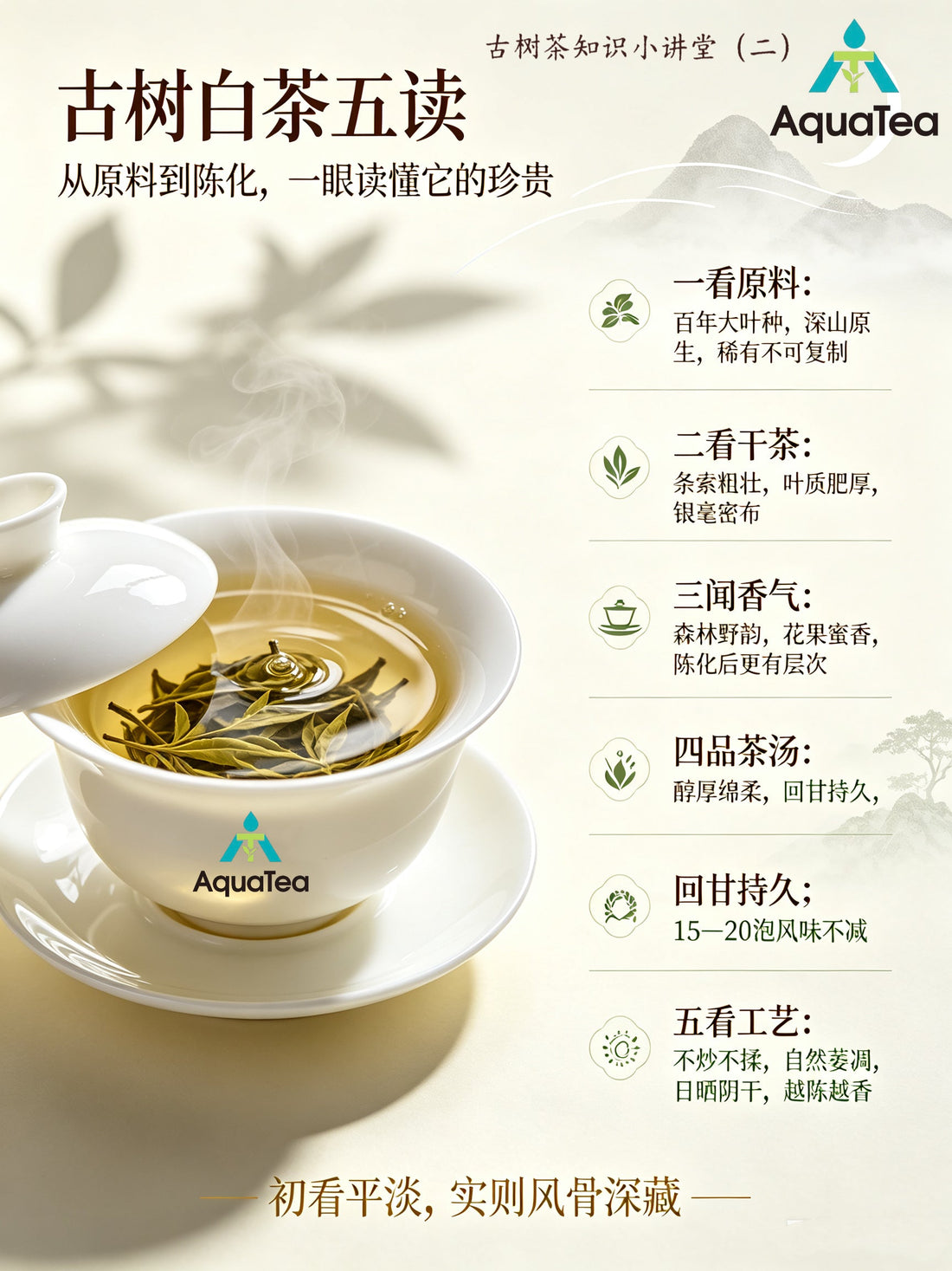 How to Read an Ancient Tree White Tea: Five Things to Look For