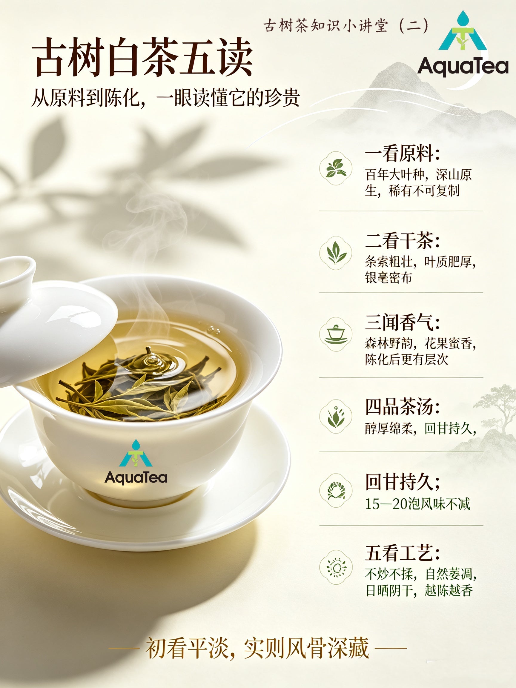 How to Read an Ancient Tree White Tea: Five Things to Look For