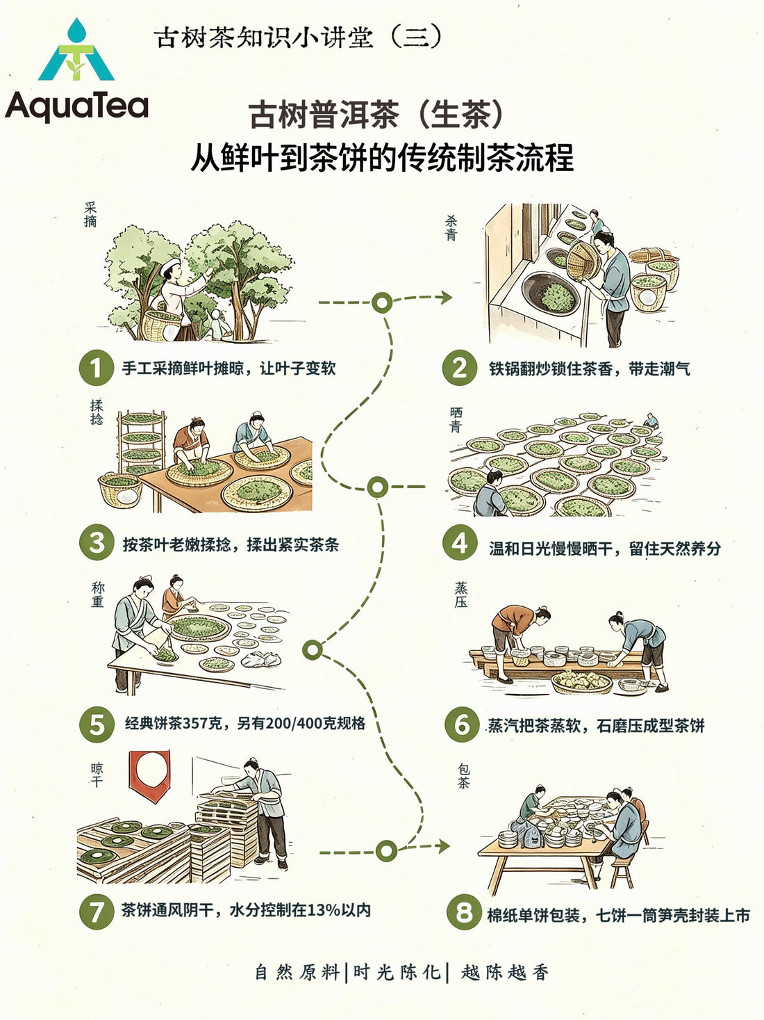 From Leaf to Cake: How Ancient Tree Raw Pu-erh Is Made