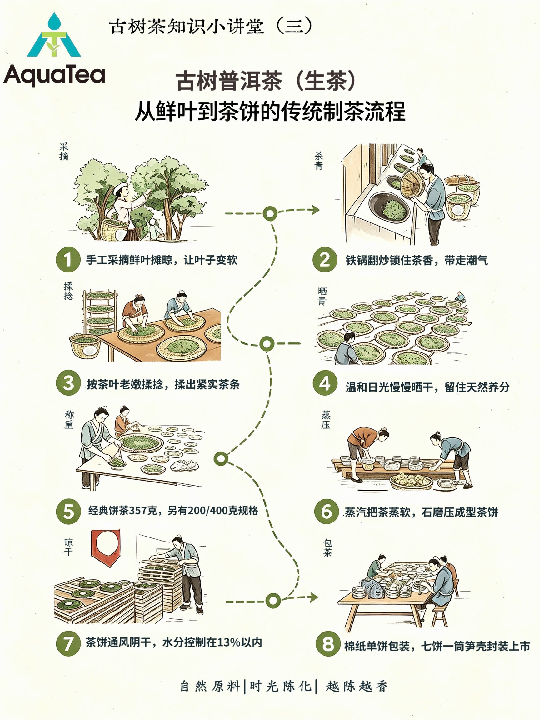 From Leaf to Cake: How Ancient Tree Raw Pu-erh Is Made