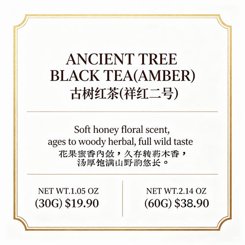 Ancient Tree Black Tea (AMBER)